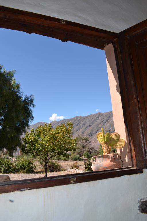 Posada Suri Huasi ティルカラ 部屋 写真